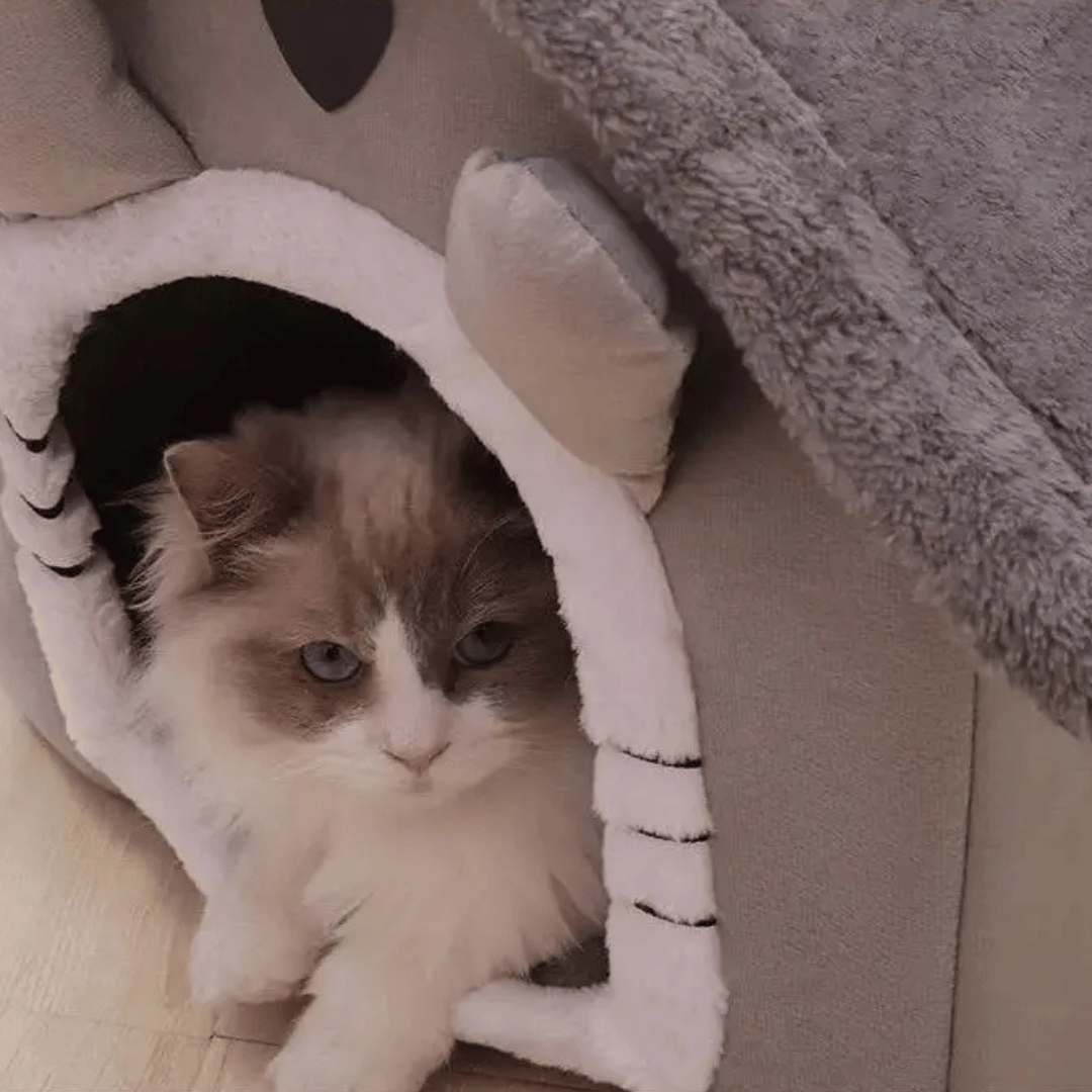 Cozy Pet Hideaway Bed for Cats and Small Dogs
