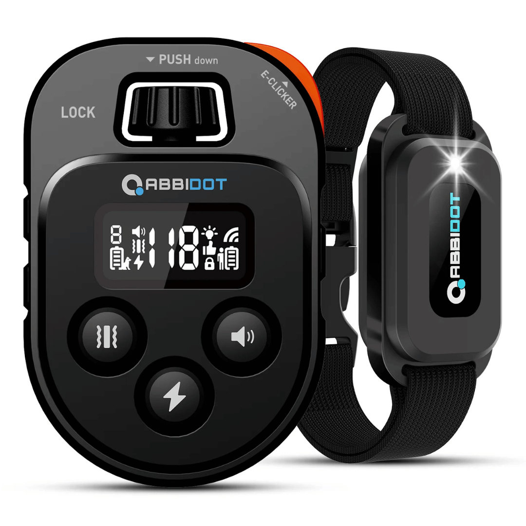 Advanced 1 Mile Remote Dog Training Collar System - LifyPet