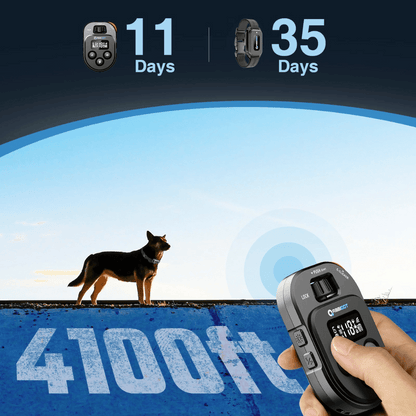 Advanced 1 Mile Remote Dog Training Collar System