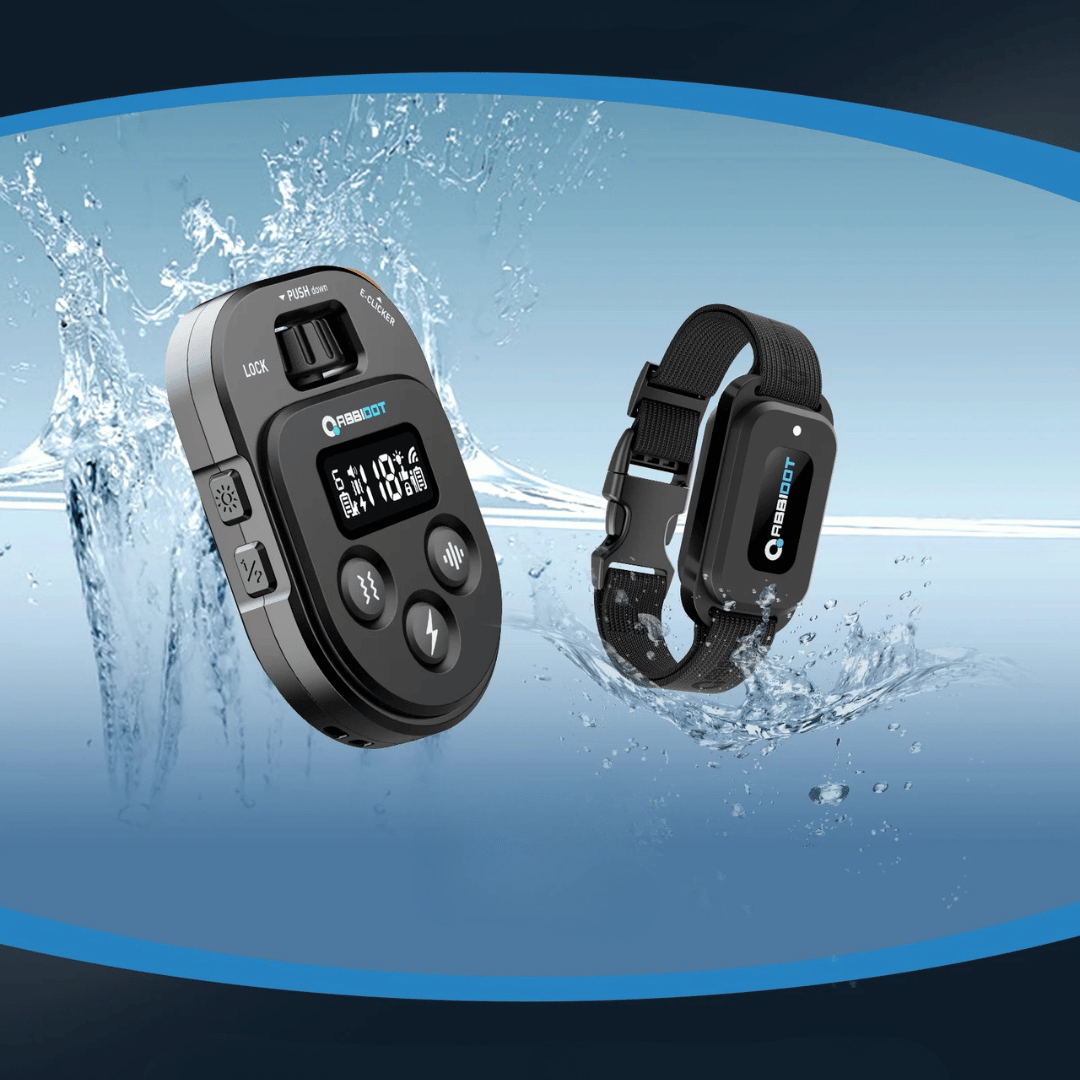 Advanced 1 Mile Remote Dog Training Collar System