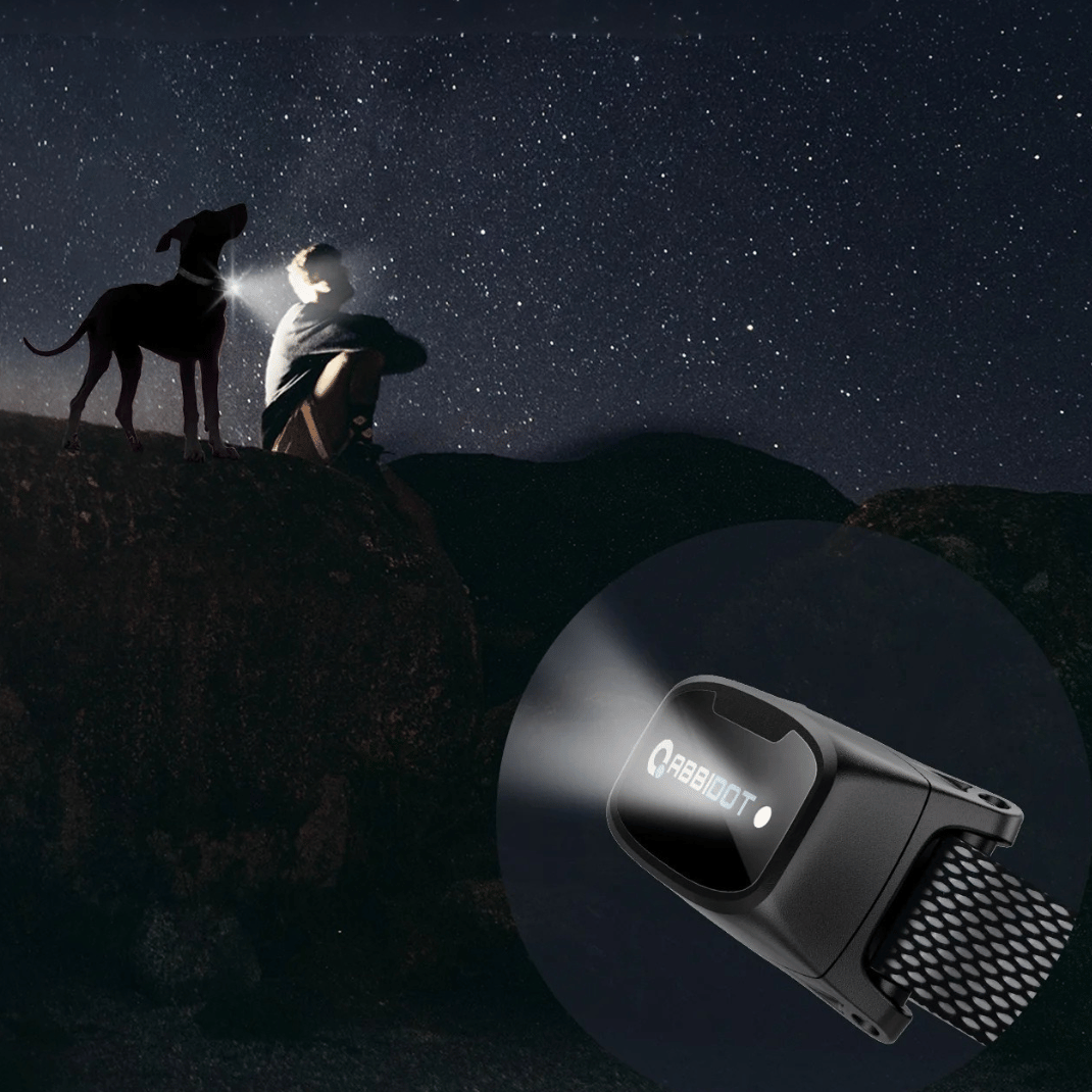 Effective Long Distance Dog Training Collar & Remote