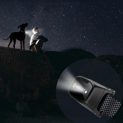 Effective Long Distance Dog Training Collar & Remote