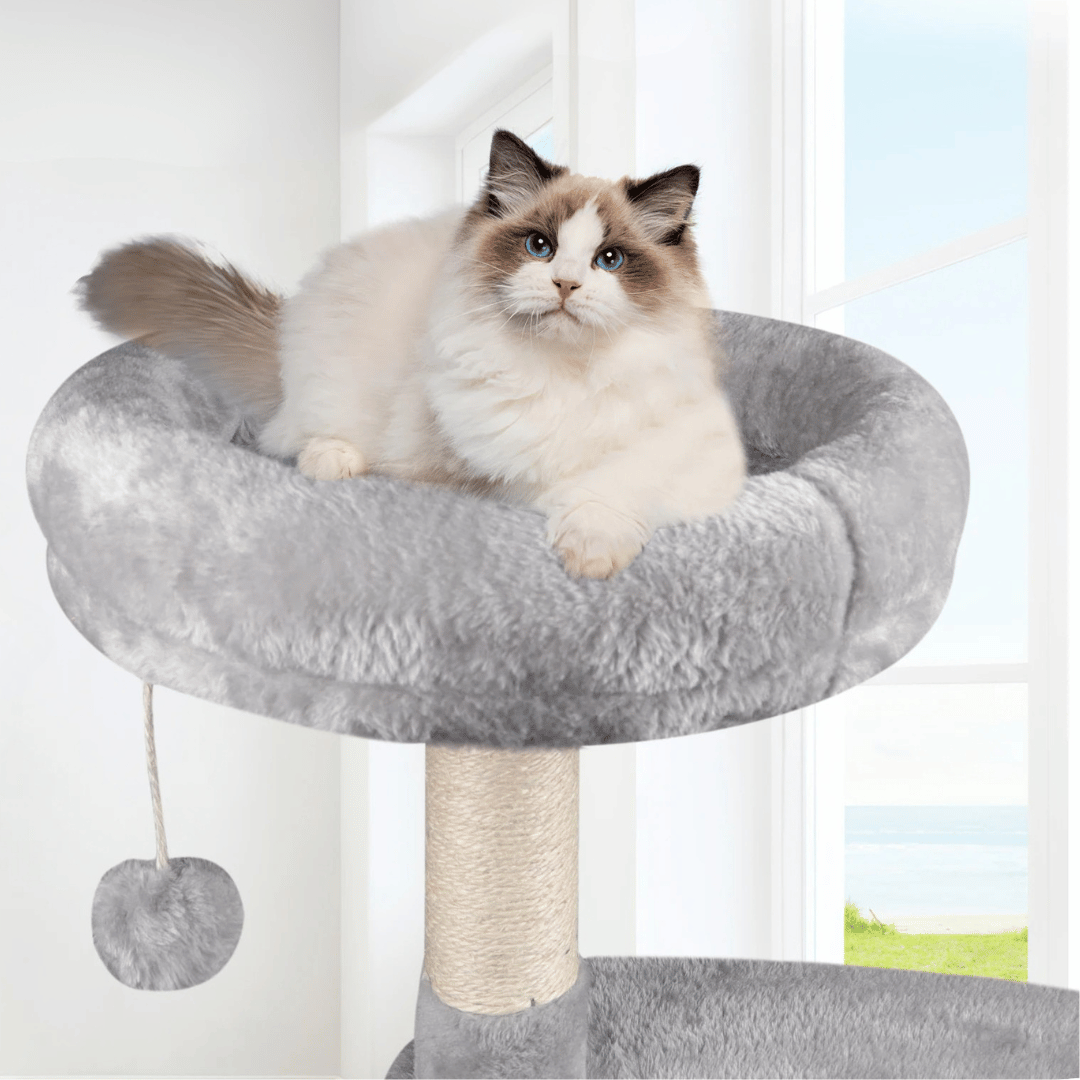 Cozy Cat Tower with Soft Condo and Scratching Post