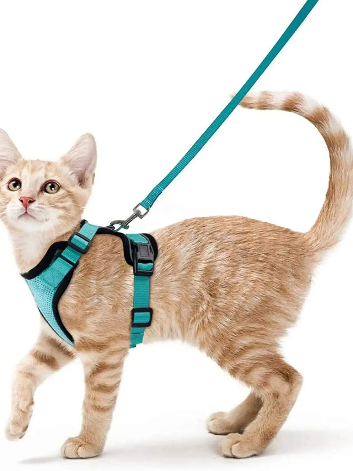 Comfortable Breathable Cat Harness Leash Set