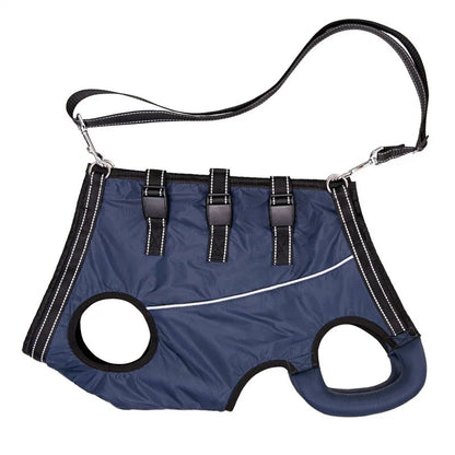 Comfortable Support Harness for Senior Dogs