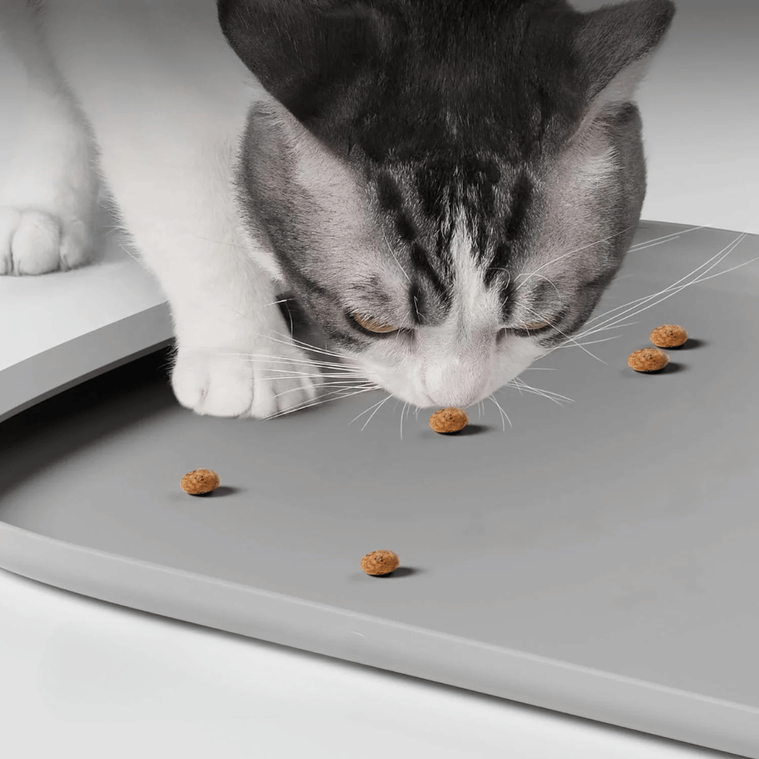 Spill Proof Pet Food Mat with High Borders