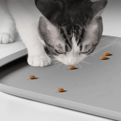 Spill Proof Pet Food Mat with High Borders