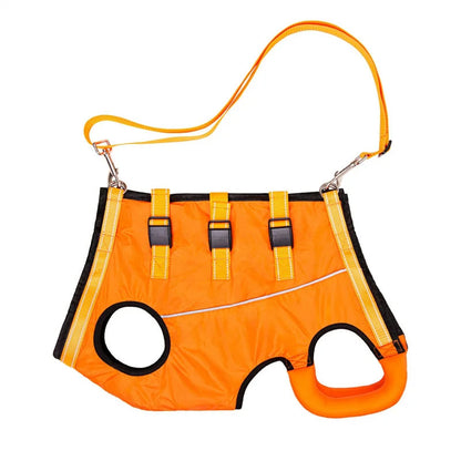 Comfortable Support Harness for Senior Dogs