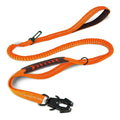 Strong Pet Leash and Seatbelt with Shock Absorbing Strap