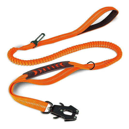 Strong Pet Leash and Seatbelt with Shock Absorbing Strap - LifyPet