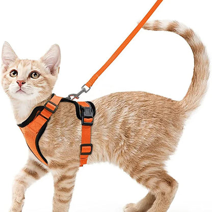 Comfortable Breathable Cat Harness Leash Set
