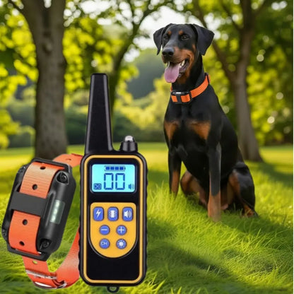 orange dog training collar with a remote on a park backgroung