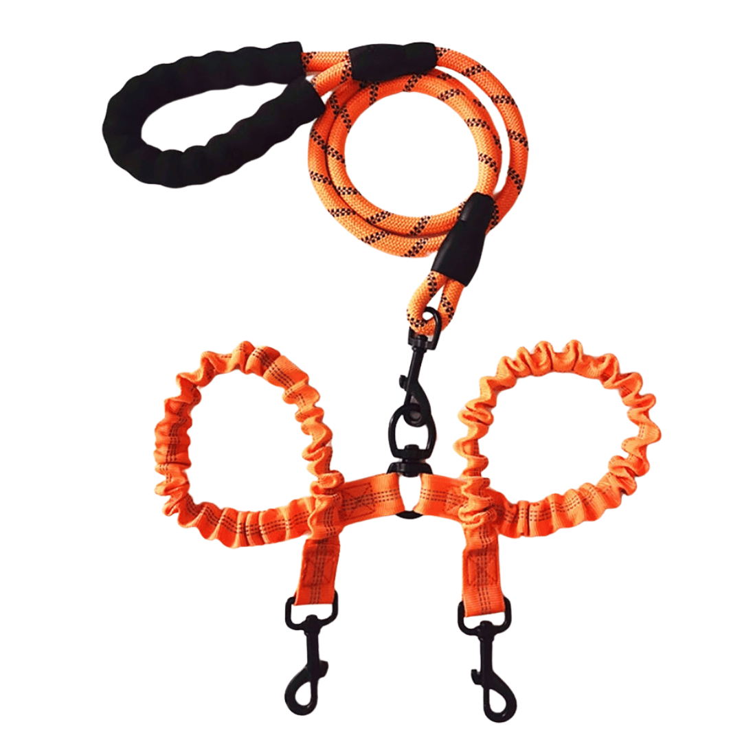 Durable Dual Dog Leash with Comfort Grip & Reflective Strap