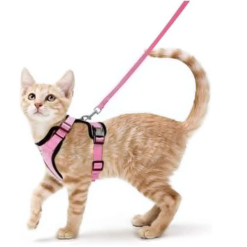 Comfortable Breathable Cat Harness Leash Set
