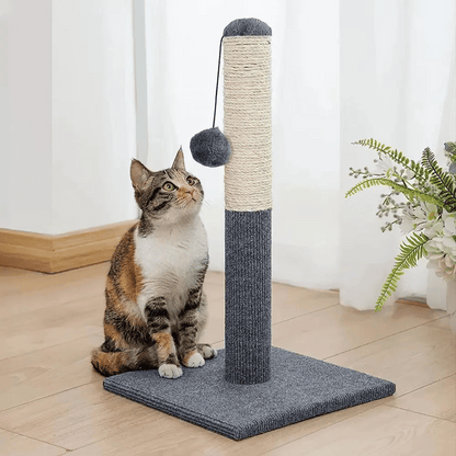 Fun Kitty Scratcher with Dangling Toy - LifyPet