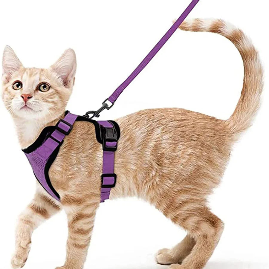 Comfortable Breathable Cat Harness Leash Set