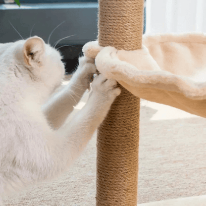 Cozy Cat Tree Scratcher & Bed
