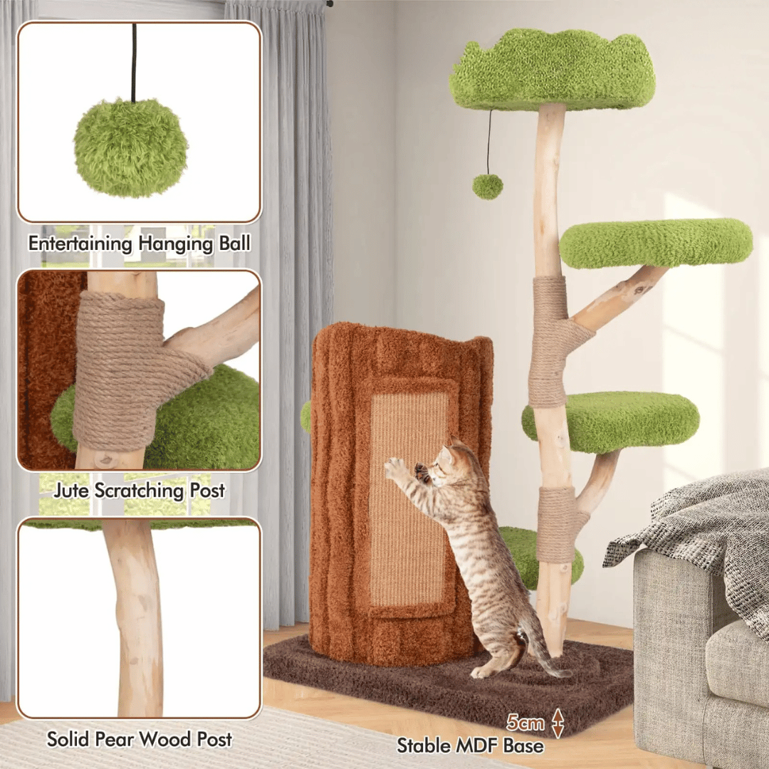 Tall Cat Climbing Tower with Multiple Perches & Beds