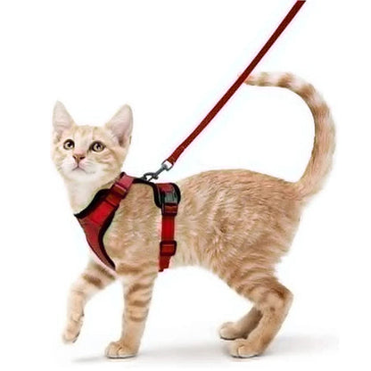 Comfortable Breathable Cat Harness Leash Set