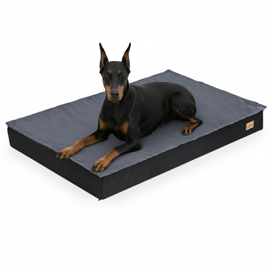 Large Plush Orthopedic Dog Bed Mattress with Comfort Cover - LifyPet
