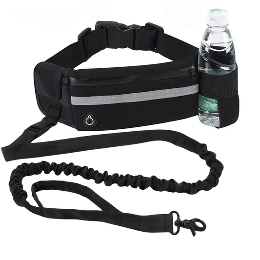Hands-Free Running Belt with Phone Pocket & Water Bottle Holder - LifyPet