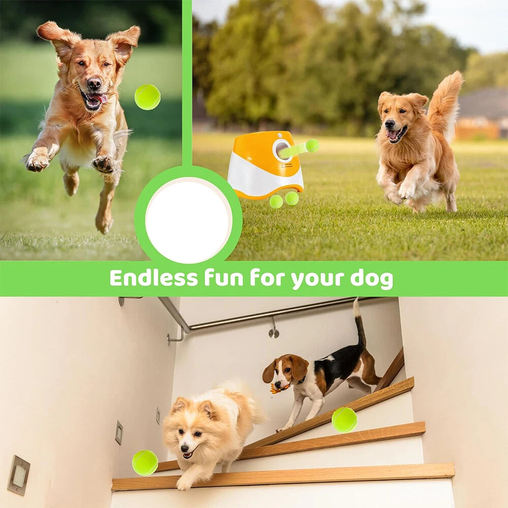 Dog Automatic Ball Launcher - Interactive Fetch Game with 3 Range Modes