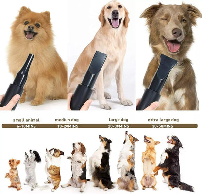 Professional 2800W Pet Hair Dryer - Dog Cat Grooming Blower with 4 Nozzles