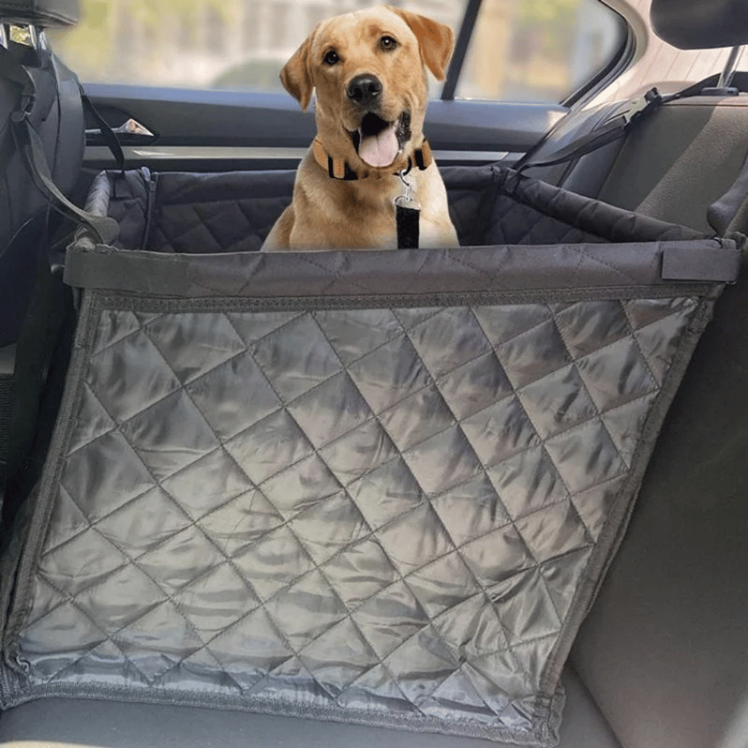 Durable Pet Car Safety Seat - LifyPet