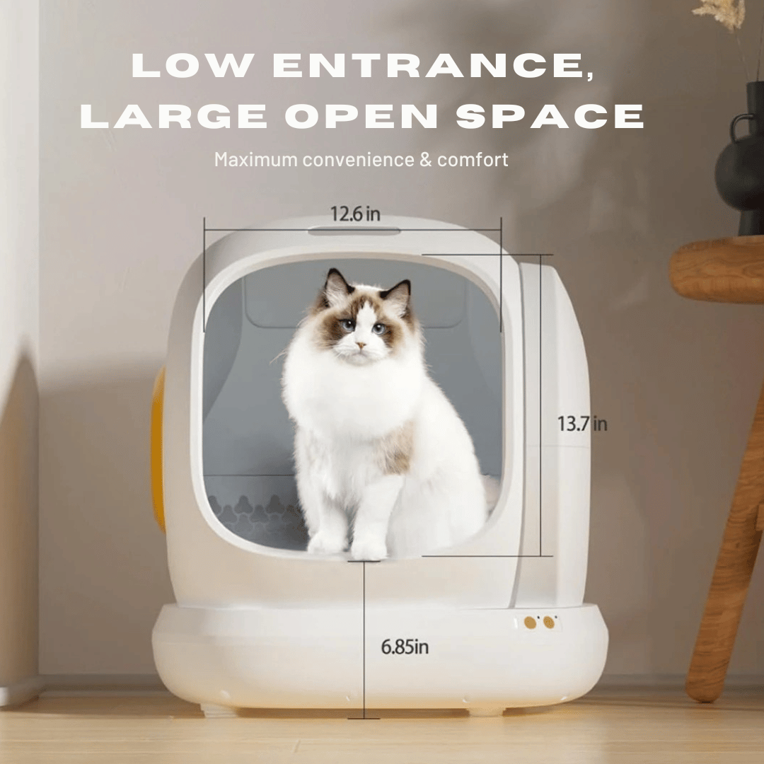 Smart WiFi Cat Litter Box with Mobile Monitoring