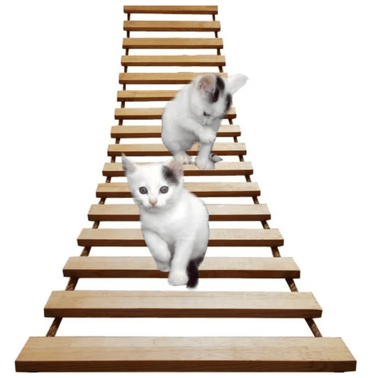 Natural Wood Cat Tower | Wall Cat Shelf & Climber - LifyPet