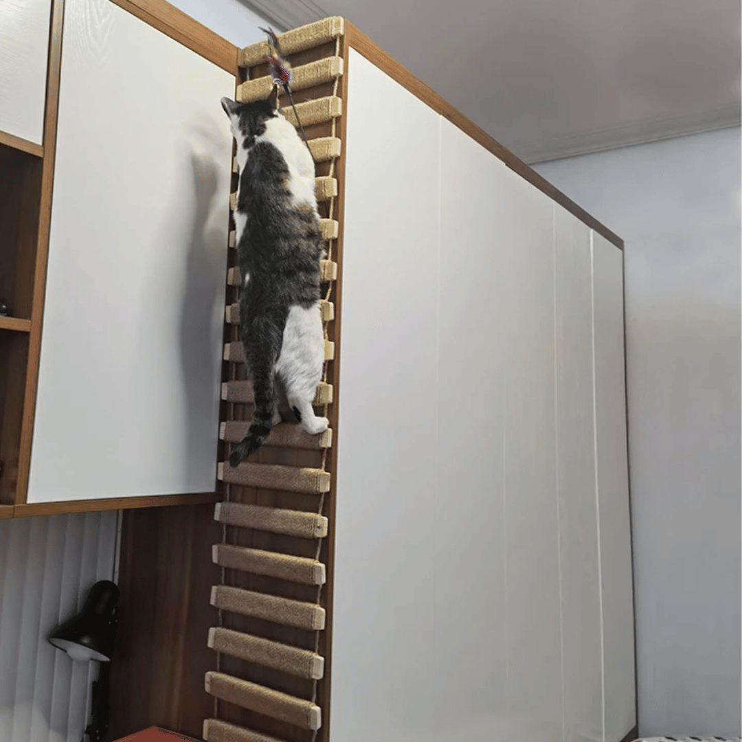 Natural Wood Cat Tower | Wall Cat Shelf & Climber