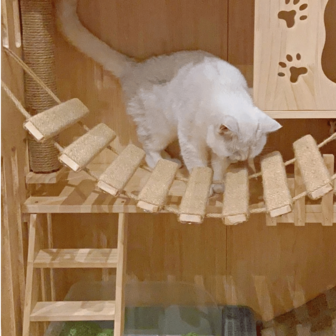 Natural Wood Cat Tower | Wall Cat Shelf & Climber