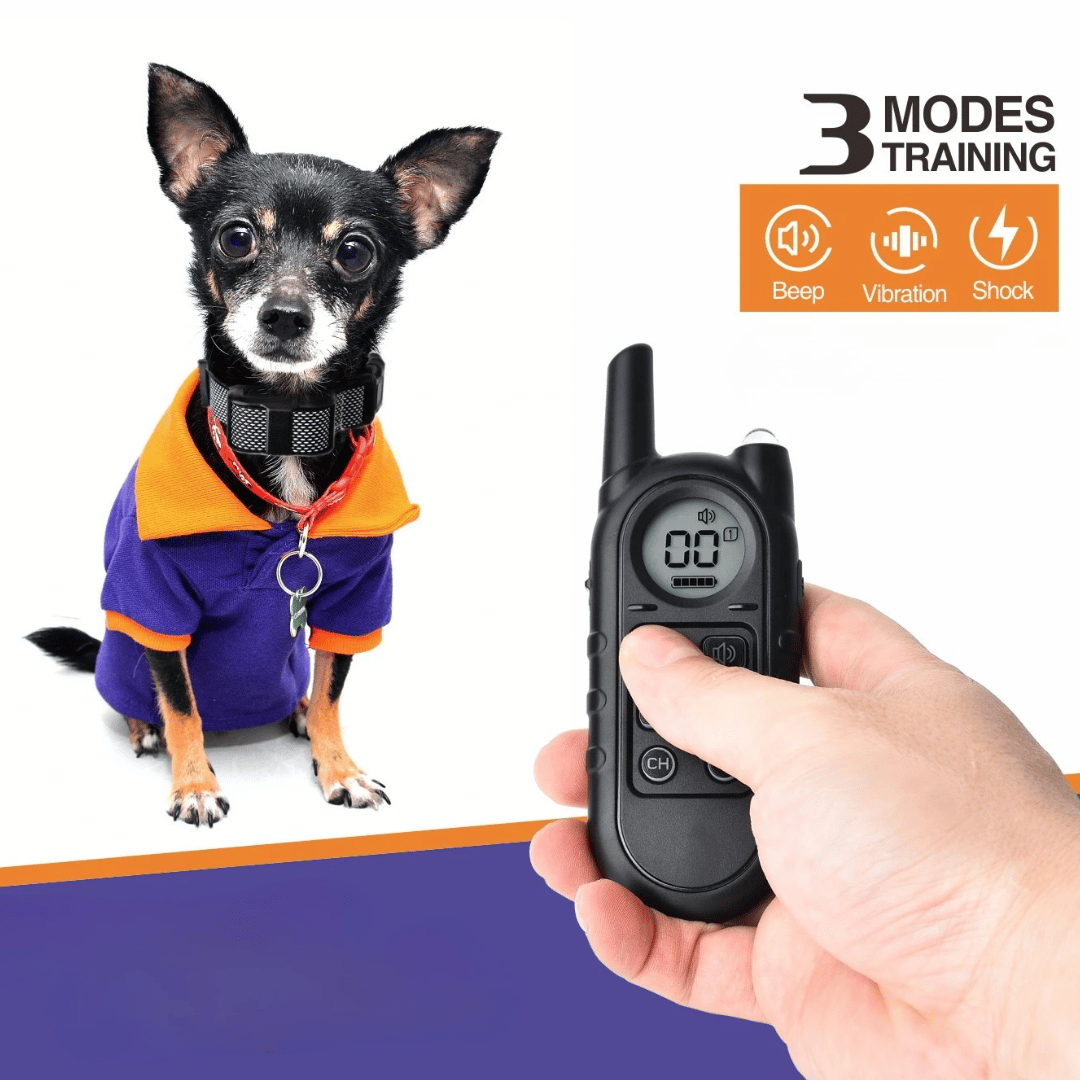 Compact Pet Training Collar with Long Range Remote