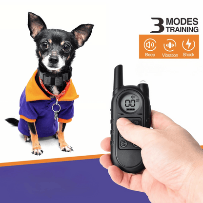 Compact Pet Training Collar with Long Range Remote
