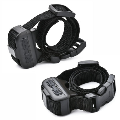 Compact Pet Training Collar with Long Range Remote