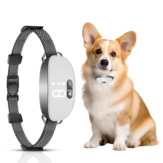Effective No Bark Dog Collar with Auto Correction Control - LifyPet