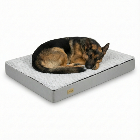 Comfortable Large Dog Bed Mattress with Soft Fleece Top - LifyPet
