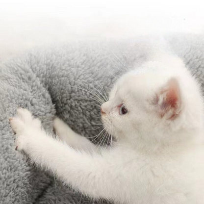 Comfy Pet Bed Pillow for Cats and Small Dogs
