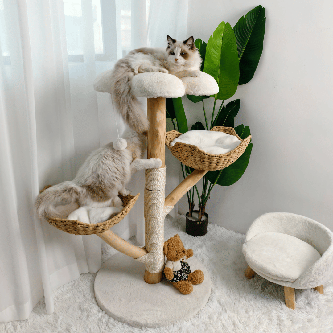 Sturdy Wooden Cat Climber with Soft Perches & Scratch Pole