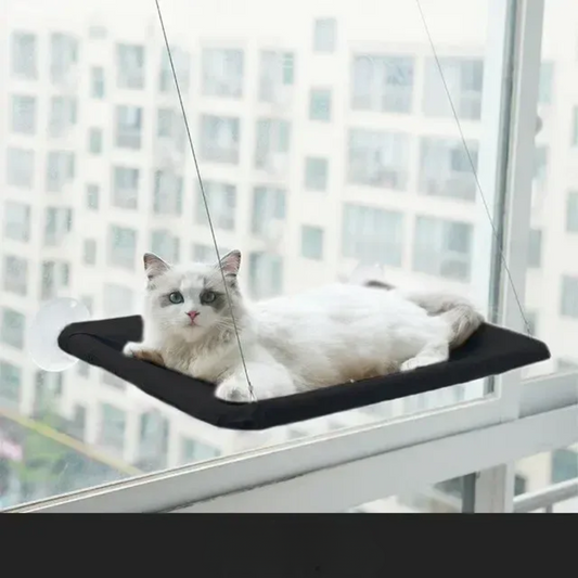 Cozy Kitty Window Seat Perch - LifyPet