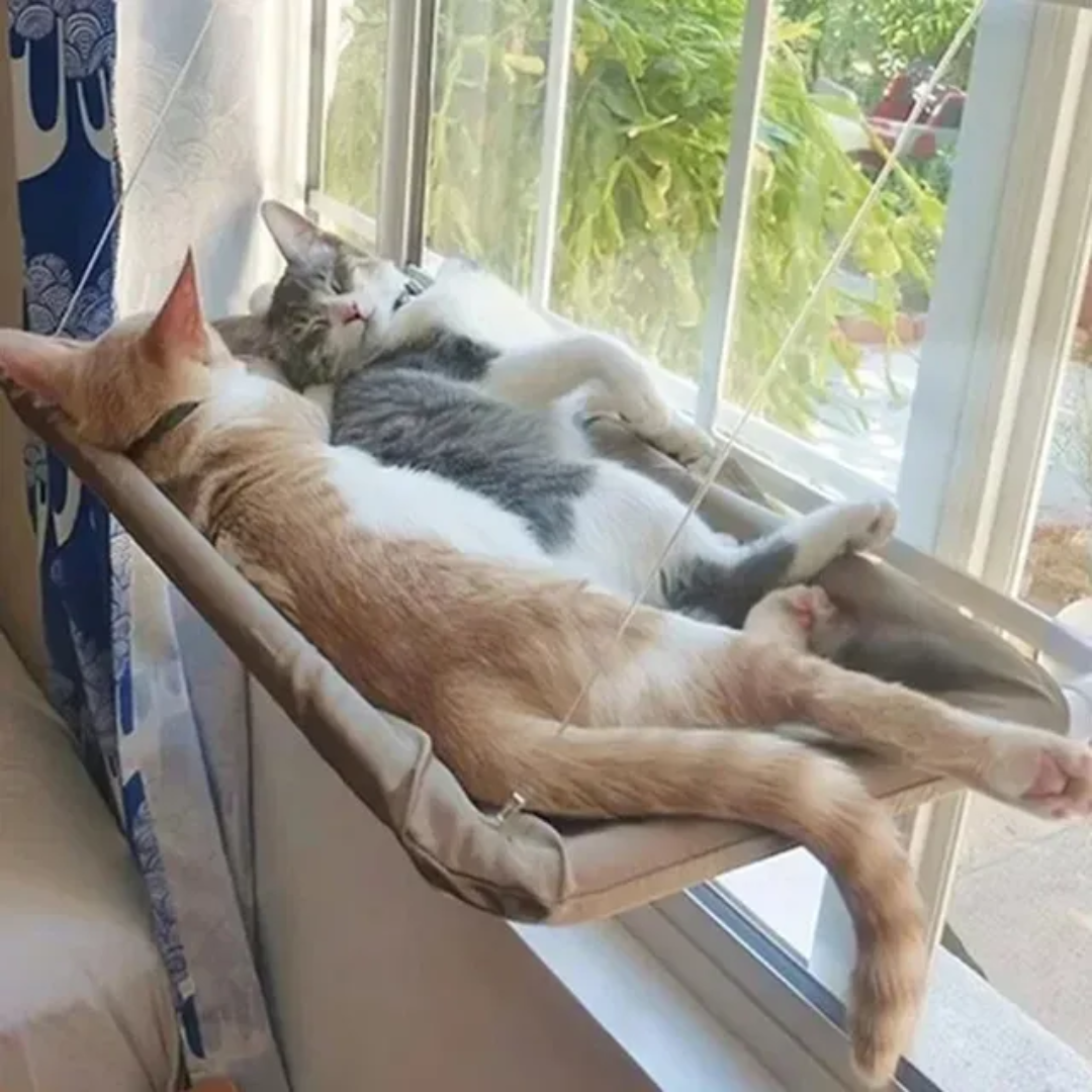 Cozy Kitty Window Seat Perch