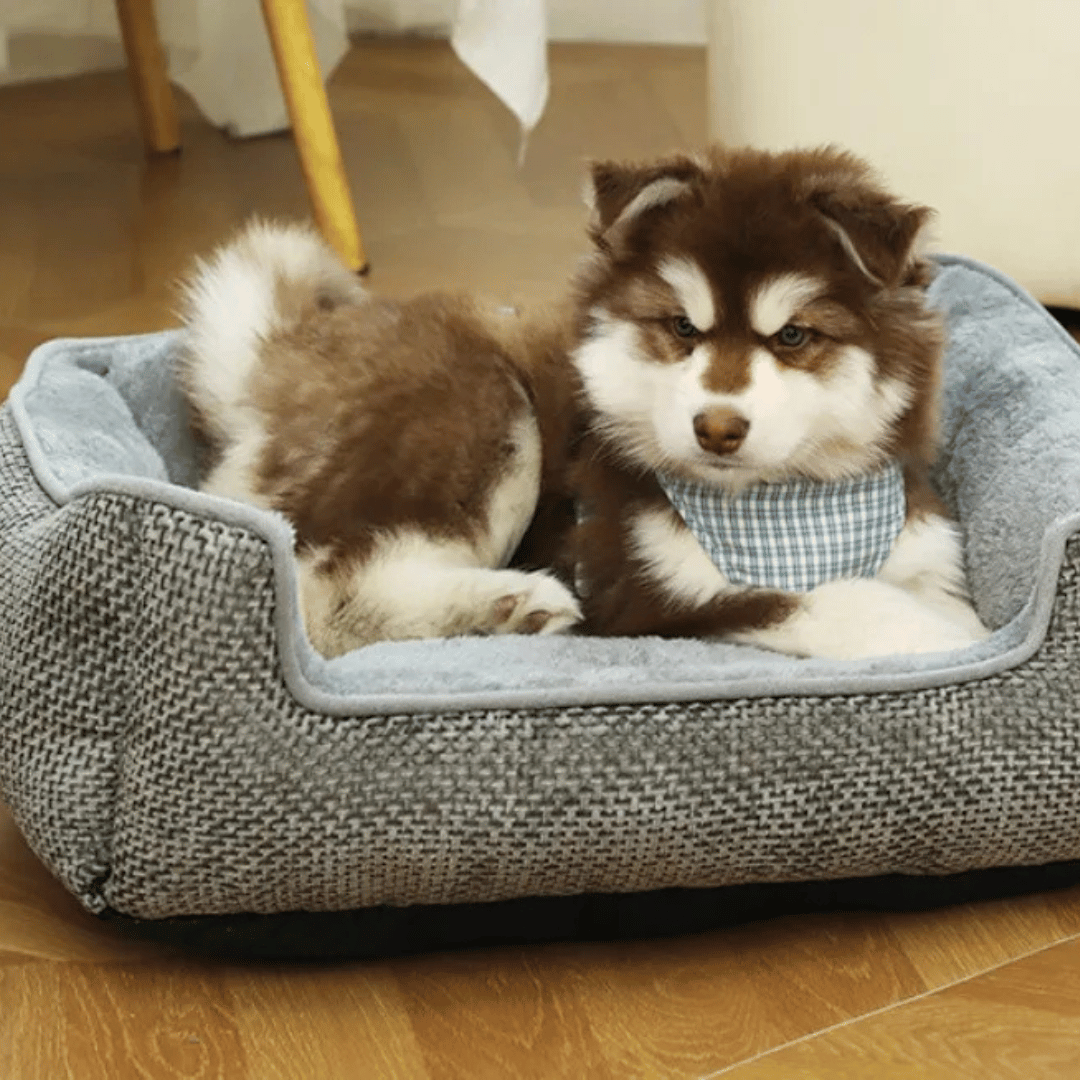 Plush Orthopedic Pet Bed for Small Pets