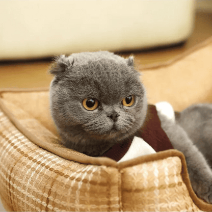 Plush Orthopedic Pet Bed for Small Pets