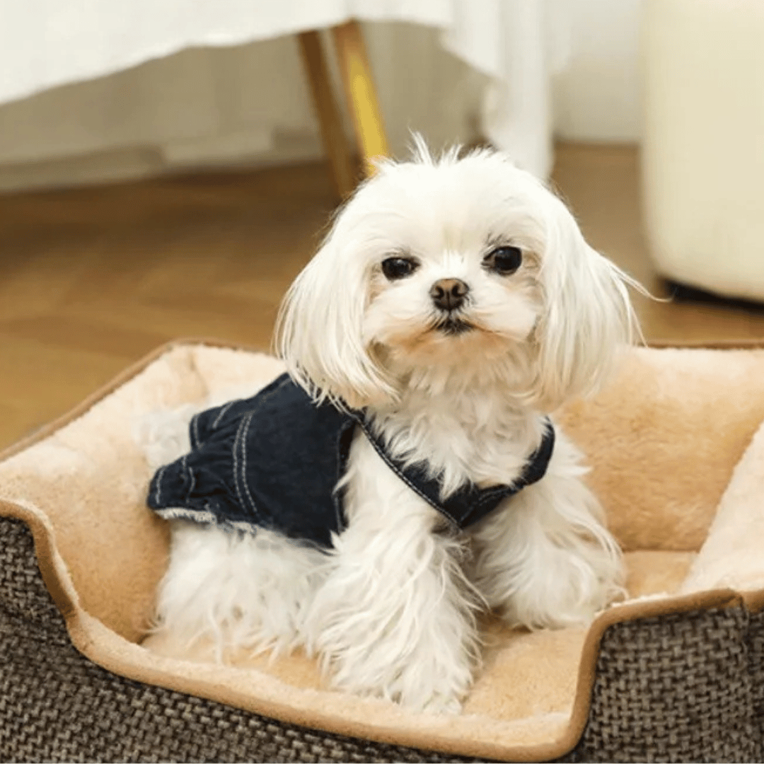 Plush Orthopedic Pet Bed for Small Pets