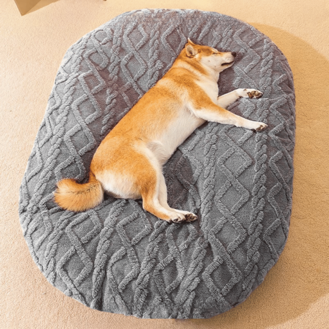 Plush Aran Knit Pet Pillow