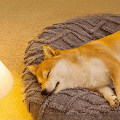 Plush Aran Knit Pet Pillow