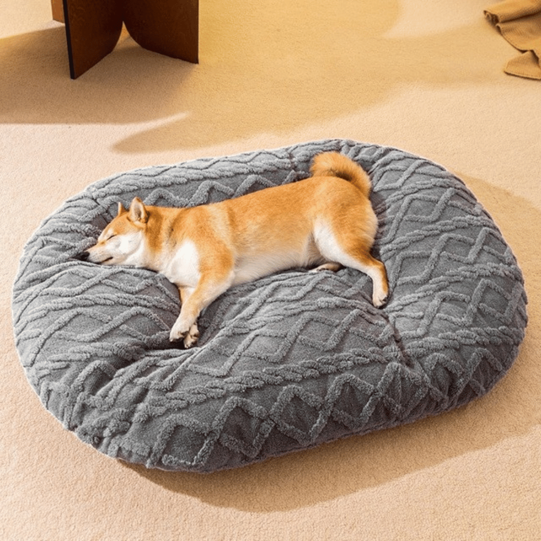 Plush Aran Knit Pet Pillow