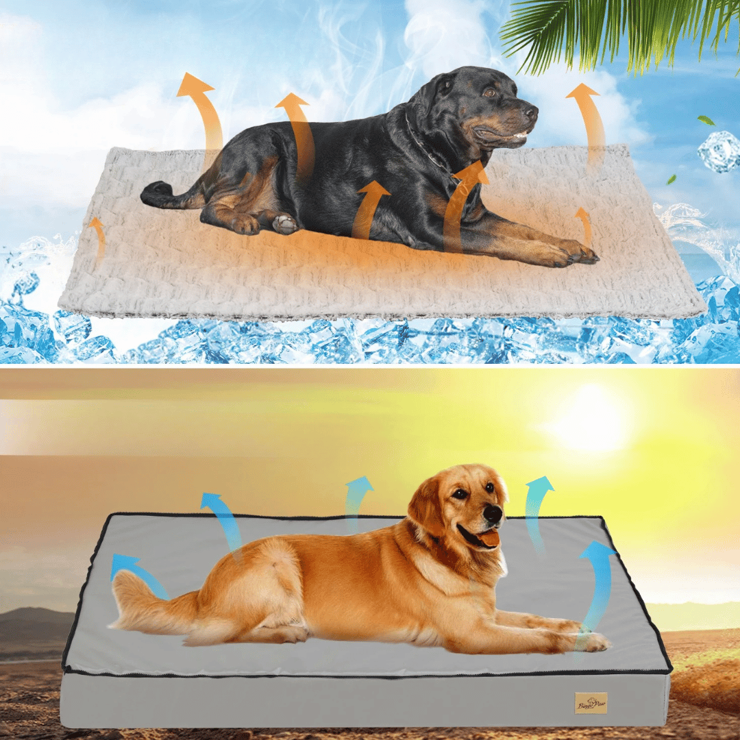 Comfortable Large Dog Bed Mattress with Soft Fleece Top