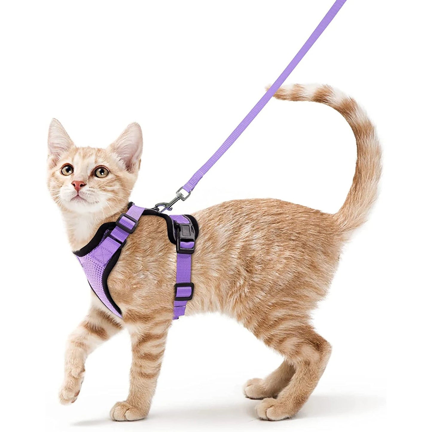 Comfortable Breathable Cat Harness Leash Set