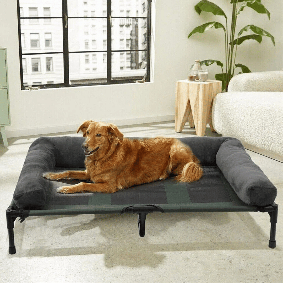 Big Orthopedic Dog Bed for Extra Large Breeds